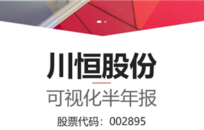 一圖讀懂 2025年半年度報告